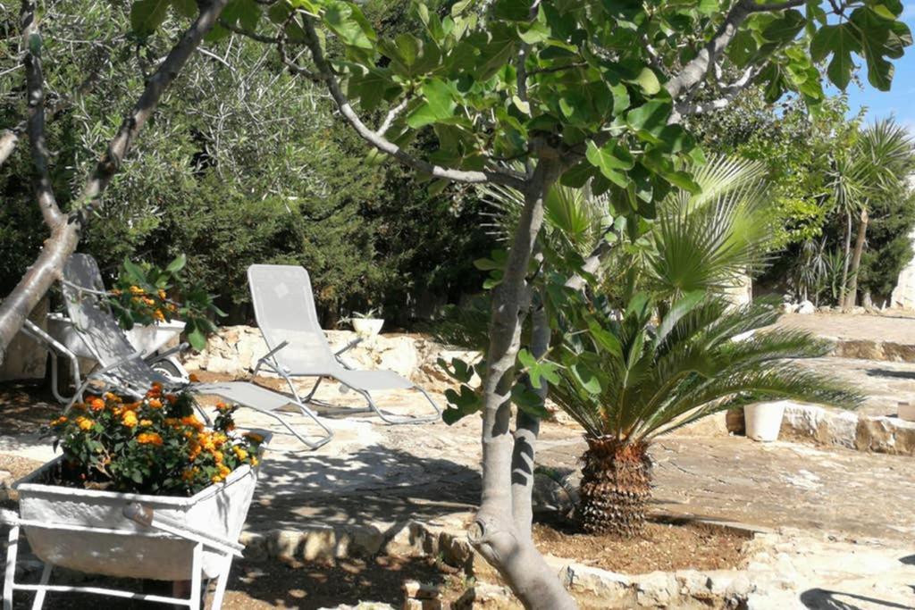 Villa Arenella Вьесте Экстерьер фото